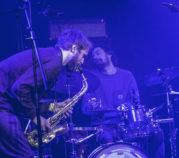 Echoes Of Zoo + Dishwasher__3