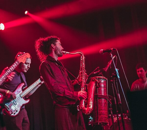 Echoes Of Zoo + Dishwasher__8