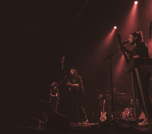 Douglas Firs + Rosa Butsi_9