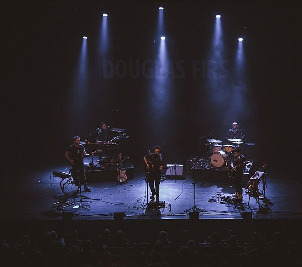 Douglas Firs + Rosa Butsi_5