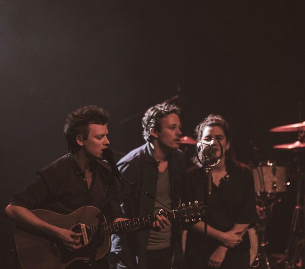 Douglas Firs + Rosa Butsi_4