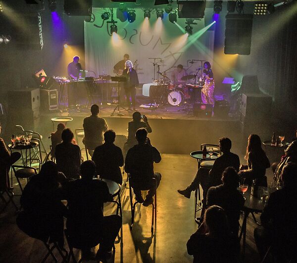 Aksak Maboul + Nele De Gussem (solo)_8