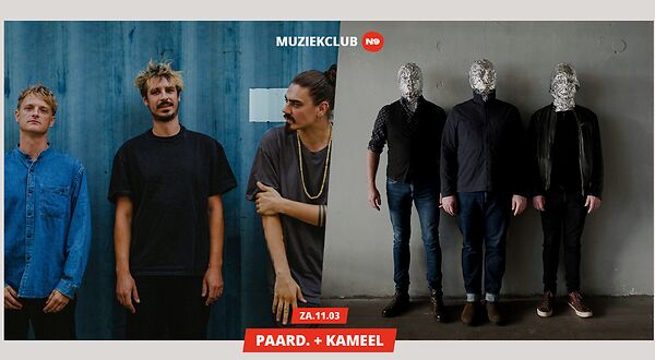 Paard. + kameel + allemaal beesten